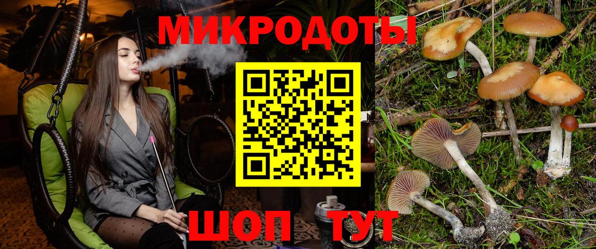 Псилоцибиновые грибы мицелий  Вход с VPN  Галлюциногенные грибы прущие грибы  где купить наркоту  Чита 