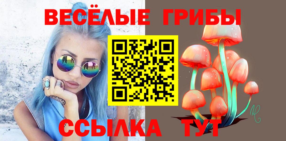 Псилоцибиновые грибы MAGIC MUSHROOMS Чита